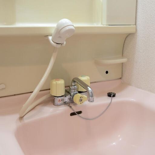 洗面水栓 便利なシャワー付きの洗面水栓