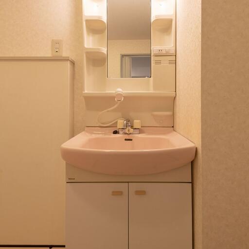 洗面化粧台 鏡面キャビネットには収納棚付