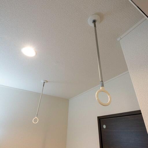 洗面所の室内物干し機 物干し竿を通して使います(川口技研のホスクリーン)