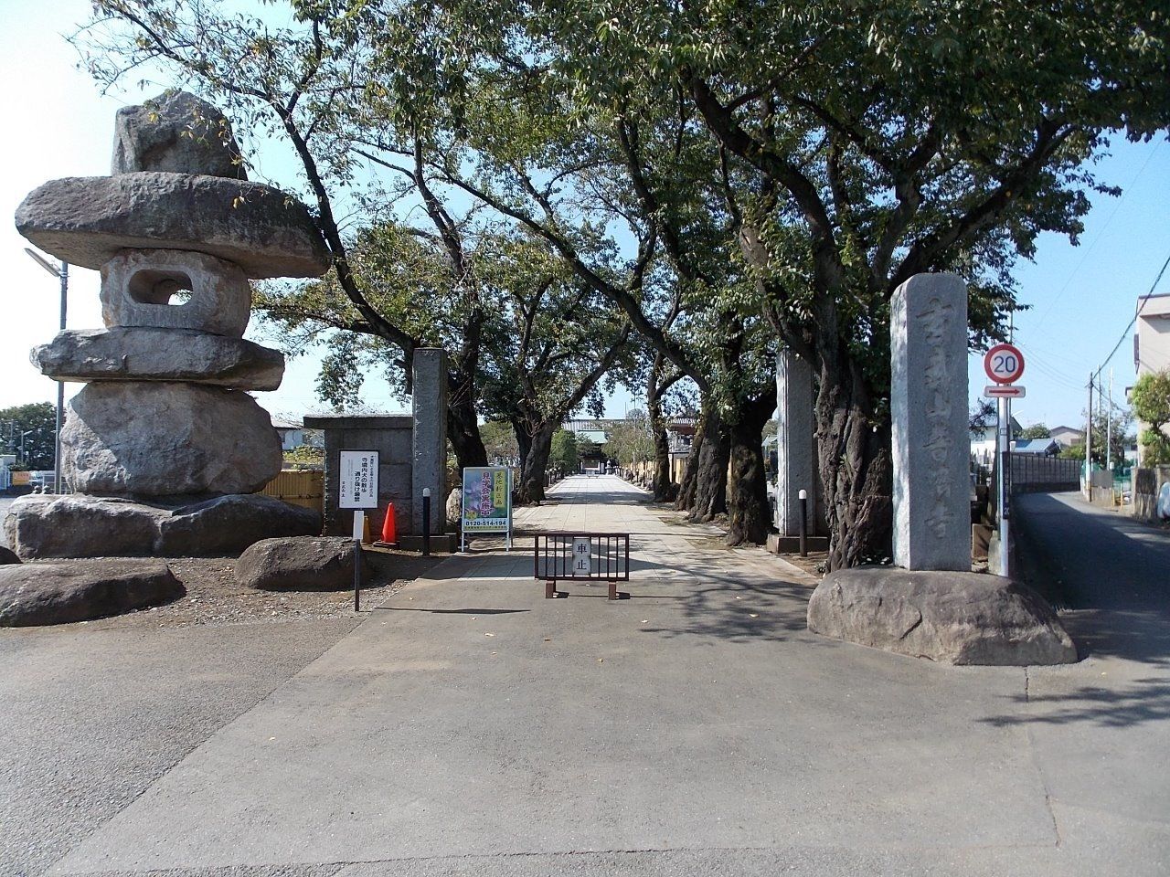 普済寺 立川の歴史的なお寺で、入口には綺麗な桜があります。
