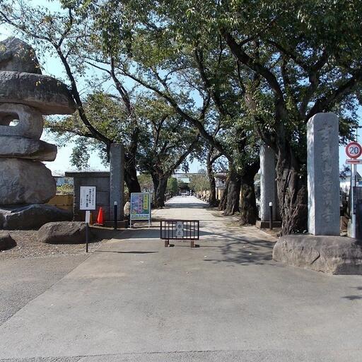 立川の歴史的なお寺で、入口には綺麗な桜があります。