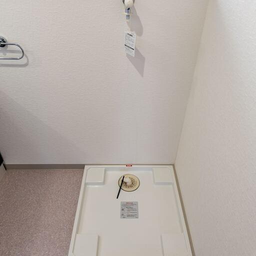 洗濯機置場(室内) 洗面所に設置