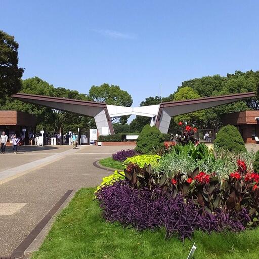 国営昭和記念公園 四季折々の表情を見せてくれる国営公園
