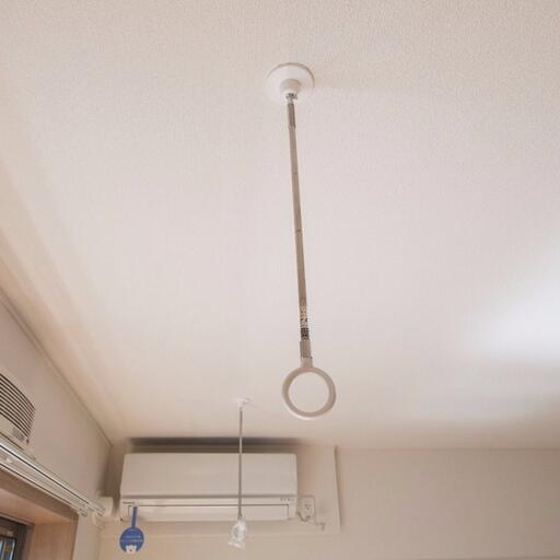 一人暮らしに嬉しい室内物干し機 物干竿を通せば室内干しが可能になる川口技研の「ホスクリーン」