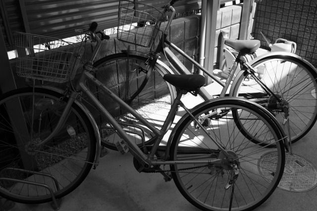 いつもの自転車、いつものバイク